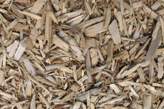biomass boilers Totscore